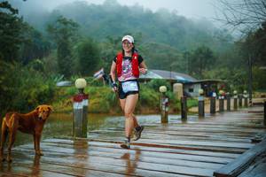 BIB: 
                            <button type="button" onclick="openModal(25161485)" class="btn btn-primary btn-sm float-right btn-popup" data-toggle="modal" data-target=".modal-high-quality">
                        <i class="fas fa-shopping-cart"></i> Add to Cart
                    </button>
                                            <button type="button" onclick="isThisMe(25161485, true)" class="btn btn-success btn-sm float-right btn-popup btn-isme hidden" data-toggle="tooltip" data-placement="bottom" title="นี่คือรูปของคุณใช่ไหม คลิกที่นี่เพื่อเอาเข้าอัลบั้ม">
                        <i class="fas fa-plus"></i> Add to album
                    </button>
                    <button type="button" onclick="isThisMe(25161485, false)" class="btn btn-warning btn-sm float-right btn-popup btn-isnotme hidden">
                        <i class="fas fa-ban"></i> Remove from album
                    </button>