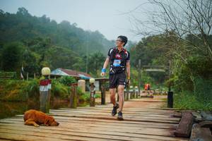 BIB: 
                            <button type="button" onclick="openModal(25115257)" class="btn btn-primary btn-sm float-right btn-popup" data-toggle="modal" data-target=".modal-high-quality">
                        <i class="fas fa-shopping-cart"></i> Add to Cart
                    </button>
                                            <button type="button" onclick="isThisMe(25115257, true)" class="btn btn-success btn-sm float-right btn-popup btn-isme hidden" data-toggle="tooltip" data-placement="bottom" title="นี่คือรูปของคุณใช่ไหม คลิกที่นี่เพื่อเอาเข้าอัลบั้ม">
                        <i class="fas fa-plus"></i> Add to album
                    </button>
                    <button type="button" onclick="isThisMe(25115257, false)" class="btn btn-warning btn-sm float-right btn-popup btn-isnotme hidden">
                        <i class="fas fa-ban"></i> Remove from album
                    </button>