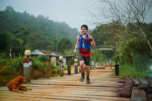 BIB: 
                            <button type="button" onclick="openModal(25111653)" class="btn btn-primary btn-sm float-right btn-popup" data-toggle="modal" data-target=".modal-high-quality">
                        <i class="fas fa-shopping-cart"></i> Add to Cart
                    </button>
                                            <button type="button" onclick="isThisMe(25111653, true)" class="btn btn-success btn-sm float-right btn-popup btn-isme hidden" data-toggle="tooltip" data-placement="bottom" title="นี่คือรูปของคุณใช่ไหม คลิกที่นี่เพื่อเอาเข้าอัลบั้ม">
                        <i class="fas fa-plus"></i> Add to album
                    </button>
                    <button type="button" onclick="isThisMe(25111653, false)" class="btn btn-warning btn-sm float-right btn-popup btn-isnotme hidden">
                        <i class="fas fa-ban"></i> Remove from album
                    </button>