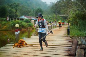 BIB: 
                            <button type="button" onclick="openModal(25159753)" class="btn btn-primary btn-sm float-right btn-popup" data-toggle="modal" data-target=".modal-high-quality">
                        <i class="fas fa-shopping-cart"></i> Add to Cart
                    </button>
                                            <button type="button" onclick="isThisMe(25159753, true)" class="btn btn-success btn-sm float-right btn-popup btn-isme hidden" data-toggle="tooltip" data-placement="bottom" title="นี่คือรูปของคุณใช่ไหม คลิกที่นี่เพื่อเอาเข้าอัลบั้ม">
                        <i class="fas fa-plus"></i> Add to album
                    </button>
                    <button type="button" onclick="isThisMe(25159753, false)" class="btn btn-warning btn-sm float-right btn-popup btn-isnotme hidden">
                        <i class="fas fa-ban"></i> Remove from album
                    </button>