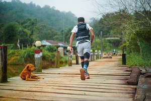 BIB: 
                            <button type="button" onclick="openModal(25122514)" class="btn btn-primary btn-sm float-right btn-popup" data-toggle="modal" data-target=".modal-high-quality">
                        <i class="fas fa-shopping-cart"></i> Add to Cart
                    </button>
                                            <button type="button" onclick="isThisMe(25122514, true)" class="btn btn-success btn-sm float-right btn-popup btn-isme hidden" data-toggle="tooltip" data-placement="bottom" title="นี่คือรูปของคุณใช่ไหม คลิกที่นี่เพื่อเอาเข้าอัลบั้ม">
                        <i class="fas fa-plus"></i> Add to album
                    </button>
                    <button type="button" onclick="isThisMe(25122514, false)" class="btn btn-warning btn-sm float-right btn-popup btn-isnotme hidden">
                        <i class="fas fa-ban"></i> Remove from album
                    </button>