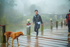 BIB: 
                            <button type="button" onclick="openModal(25161766)" class="btn btn-primary btn-sm float-right btn-popup" data-toggle="modal" data-target=".modal-high-quality">
                        <i class="fas fa-shopping-cart"></i> Add to Cart
                    </button>
                                            <button type="button" onclick="isThisMe(25161766, true)" class="btn btn-success btn-sm float-right btn-popup btn-isme hidden" data-toggle="tooltip" data-placement="bottom" title="นี่คือรูปของคุณใช่ไหม คลิกที่นี่เพื่อเอาเข้าอัลบั้ม">
                        <i class="fas fa-plus"></i> Add to album
                    </button>
                    <button type="button" onclick="isThisMe(25161766, false)" class="btn btn-warning btn-sm float-right btn-popup btn-isnotme hidden">
                        <i class="fas fa-ban"></i> Remove from album
                    </button>