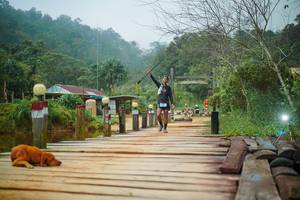 BIB: 
                            <button type="button" onclick="openModal(25121083)" class="btn btn-primary btn-sm float-right btn-popup" data-toggle="modal" data-target=".modal-high-quality">
                        <i class="fas fa-shopping-cart"></i> Add to Cart
                    </button>
                                            <button type="button" onclick="isThisMe(25121083, true)" class="btn btn-success btn-sm float-right btn-popup btn-isme hidden" data-toggle="tooltip" data-placement="bottom" title="นี่คือรูปของคุณใช่ไหม คลิกที่นี่เพื่อเอาเข้าอัลบั้ม">
                        <i class="fas fa-plus"></i> Add to album
                    </button>
                    <button type="button" onclick="isThisMe(25121083, false)" class="btn btn-warning btn-sm float-right btn-popup btn-isnotme hidden">
                        <i class="fas fa-ban"></i> Remove from album
                    </button>