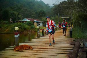 BIB: 
                            <button type="button" onclick="openModal(25158874)" class="btn btn-primary btn-sm float-right btn-popup" data-toggle="modal" data-target=".modal-high-quality">
                        <i class="fas fa-shopping-cart"></i> Add to Cart
                    </button>
                                            <button type="button" onclick="isThisMe(25158874, true)" class="btn btn-success btn-sm float-right btn-popup btn-isme hidden" data-toggle="tooltip" data-placement="bottom" title="นี่คือรูปของคุณใช่ไหม คลิกที่นี่เพื่อเอาเข้าอัลบั้ม">
                        <i class="fas fa-plus"></i> Add to album
                    </button>
                    <button type="button" onclick="isThisMe(25158874, false)" class="btn btn-warning btn-sm float-right btn-popup btn-isnotme hidden">
                        <i class="fas fa-ban"></i> Remove from album
                    </button>