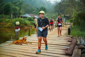 BIB: 
                            <button type="button" onclick="openModal(25159967)" class="btn btn-primary btn-sm float-right btn-popup" data-toggle="modal" data-target=".modal-high-quality">
                        <i class="fas fa-shopping-cart"></i> Add to Cart
                    </button>
                                            <button type="button" onclick="isThisMe(25159967, true)" class="btn btn-success btn-sm float-right btn-popup btn-isme hidden" data-toggle="tooltip" data-placement="bottom" title="นี่คือรูปของคุณใช่ไหม คลิกที่นี่เพื่อเอาเข้าอัลบั้ม">
                        <i class="fas fa-plus"></i> Add to album
                    </button>
                    <button type="button" onclick="isThisMe(25159967, false)" class="btn btn-warning btn-sm float-right btn-popup btn-isnotme hidden">
                        <i class="fas fa-ban"></i> Remove from album
                    </button>