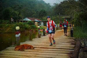 BIB: 
                            <button type="button" onclick="openModal(25158873)" class="btn btn-primary btn-sm float-right btn-popup" data-toggle="modal" data-target=".modal-high-quality">
                        <i class="fas fa-shopping-cart"></i> Add to Cart
                    </button>
                                            <button type="button" onclick="isThisMe(25158873, true)" class="btn btn-success btn-sm float-right btn-popup btn-isme hidden" data-toggle="tooltip" data-placement="bottom" title="นี่คือรูปของคุณใช่ไหม คลิกที่นี่เพื่อเอาเข้าอัลบั้ม">
                        <i class="fas fa-plus"></i> Add to album
                    </button>
                    <button type="button" onclick="isThisMe(25158873, false)" class="btn btn-warning btn-sm float-right btn-popup btn-isnotme hidden">
                        <i class="fas fa-ban"></i> Remove from album
                    </button>