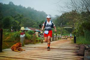 BIB: 
                            <button type="button" onclick="openModal(25112020)" class="btn btn-primary btn-sm float-right btn-popup" data-toggle="modal" data-target=".modal-high-quality">
                        <i class="fas fa-shopping-cart"></i> Add to Cart
                    </button>
                                            <button type="button" onclick="isThisMe(25112020, true)" class="btn btn-success btn-sm float-right btn-popup btn-isme hidden" data-toggle="tooltip" data-placement="bottom" title="นี่คือรูปของคุณใช่ไหม คลิกที่นี่เพื่อเอาเข้าอัลบั้ม">
                        <i class="fas fa-plus"></i> Add to album
                    </button>
                    <button type="button" onclick="isThisMe(25112020, false)" class="btn btn-warning btn-sm float-right btn-popup btn-isnotme hidden">
                        <i class="fas fa-ban"></i> Remove from album
                    </button>