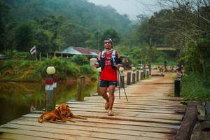 BIB: 
                            <button type="button" onclick="openModal(25159724)" class="btn btn-primary btn-sm float-right btn-popup" data-toggle="modal" data-target=".modal-high-quality">
                        <i class="fas fa-shopping-cart"></i> Add to Cart
                    </button>
                                            <button type="button" onclick="isThisMe(25159724, true)" class="btn btn-success btn-sm float-right btn-popup btn-isme hidden" data-toggle="tooltip" data-placement="bottom" title="นี่คือรูปของคุณใช่ไหม คลิกที่นี่เพื่อเอาเข้าอัลบั้ม">
                        <i class="fas fa-plus"></i> Add to album
                    </button>
                    <button type="button" onclick="isThisMe(25159724, false)" class="btn btn-warning btn-sm float-right btn-popup btn-isnotme hidden">
                        <i class="fas fa-ban"></i> Remove from album
                    </button>