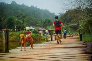 BIB: 
                            <button type="button" onclick="openModal(25111135)" class="btn btn-primary btn-sm float-right btn-popup" data-toggle="modal" data-target=".modal-high-quality">
                        <i class="fas fa-shopping-cart"></i> Add to Cart
                    </button>
                                            <button type="button" onclick="isThisMe(25111135, true)" class="btn btn-success btn-sm float-right btn-popup btn-isme hidden" data-toggle="tooltip" data-placement="bottom" title="นี่คือรูปของคุณใช่ไหม คลิกที่นี่เพื่อเอาเข้าอัลบั้ม">
                        <i class="fas fa-plus"></i> Add to album
                    </button>
                    <button type="button" onclick="isThisMe(25111135, false)" class="btn btn-warning btn-sm float-right btn-popup btn-isnotme hidden">
                        <i class="fas fa-ban"></i> Remove from album
                    </button>