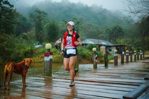 BIB: 
                            <button type="button" onclick="openModal(25161498)" class="btn btn-primary btn-sm float-right btn-popup" data-toggle="modal" data-target=".modal-high-quality">
                        <i class="fas fa-shopping-cart"></i> Add to Cart
                    </button>
                                            <button type="button" onclick="isThisMe(25161498, true)" class="btn btn-success btn-sm float-right btn-popup btn-isme hidden" data-toggle="tooltip" data-placement="bottom" title="นี่คือรูปของคุณใช่ไหม คลิกที่นี่เพื่อเอาเข้าอัลบั้ม">
                        <i class="fas fa-plus"></i> Add to album
                    </button>
                    <button type="button" onclick="isThisMe(25161498, false)" class="btn btn-warning btn-sm float-right btn-popup btn-isnotme hidden">
                        <i class="fas fa-ban"></i> Remove from album
                    </button>