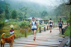 BIB: 
                            <button type="button" onclick="openModal(25171873)" class="btn btn-primary btn-sm float-right btn-popup" data-toggle="modal" data-target=".modal-high-quality">
                        <i class="fas fa-shopping-cart"></i> Add to Cart
                    </button>
                                            <button type="button" onclick="isThisMe(25171873, true)" class="btn btn-success btn-sm float-right btn-popup btn-isme hidden" data-toggle="tooltip" data-placement="bottom" title="นี่คือรูปของคุณใช่ไหม คลิกที่นี่เพื่อเอาเข้าอัลบั้ม">
                        <i class="fas fa-plus"></i> Add to album
                    </button>
                    <button type="button" onclick="isThisMe(25171873, false)" class="btn btn-warning btn-sm float-right btn-popup btn-isnotme hidden">
                        <i class="fas fa-ban"></i> Remove from album
                    </button>