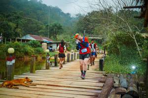 BIB: 
                            <button type="button" onclick="openModal(25160725)" class="btn btn-primary btn-sm float-right btn-popup" data-toggle="modal" data-target=".modal-high-quality">
                        <i class="fas fa-shopping-cart"></i> Add to Cart
                    </button>
                                            <button type="button" onclick="isThisMe(25160725, true)" class="btn btn-success btn-sm float-right btn-popup btn-isme hidden" data-toggle="tooltip" data-placement="bottom" title="นี่คือรูปของคุณใช่ไหม คลิกที่นี่เพื่อเอาเข้าอัลบั้ม">
                        <i class="fas fa-plus"></i> Add to album
                    </button>
                    <button type="button" onclick="isThisMe(25160725, false)" class="btn btn-warning btn-sm float-right btn-popup btn-isnotme hidden">
                        <i class="fas fa-ban"></i> Remove from album
                    </button>