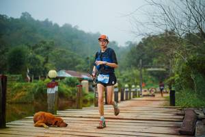 BIB: 
                            <button type="button" onclick="openModal(25114183)" class="btn btn-primary btn-sm float-right btn-popup" data-toggle="modal" data-target=".modal-high-quality">
                        <i class="fas fa-shopping-cart"></i> Add to Cart
                    </button>
                                            <button type="button" onclick="isThisMe(25114183, true)" class="btn btn-success btn-sm float-right btn-popup btn-isme hidden" data-toggle="tooltip" data-placement="bottom" title="นี่คือรูปของคุณใช่ไหม คลิกที่นี่เพื่อเอาเข้าอัลบั้ม">
                        <i class="fas fa-plus"></i> Add to album
                    </button>
                    <button type="button" onclick="isThisMe(25114183, false)" class="btn btn-warning btn-sm float-right btn-popup btn-isnotme hidden">
                        <i class="fas fa-ban"></i> Remove from album
                    </button>