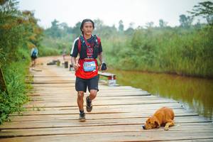 BIB: 
                            <button type="button" onclick="openModal(25127665)" class="btn btn-primary btn-sm float-right btn-popup" data-toggle="modal" data-target=".modal-high-quality">
                        <i class="fas fa-shopping-cart"></i> Add to Cart
                    </button>
                                            <button type="button" onclick="isThisMe(25127665, true)" class="btn btn-success btn-sm float-right btn-popup btn-isme hidden" data-toggle="tooltip" data-placement="bottom" title="นี่คือรูปของคุณใช่ไหม คลิกที่นี่เพื่อเอาเข้าอัลบั้ม">
                        <i class="fas fa-plus"></i> Add to album
                    </button>
                    <button type="button" onclick="isThisMe(25127665, false)" class="btn btn-warning btn-sm float-right btn-popup btn-isnotme hidden">
                        <i class="fas fa-ban"></i> Remove from album
                    </button>