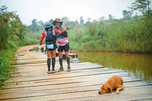 BIB: 
                            <button type="button" onclick="openModal(25129085)" class="btn btn-primary btn-sm float-right btn-popup" data-toggle="modal" data-target=".modal-high-quality">
                        <i class="fas fa-shopping-cart"></i> Add to Cart
                    </button>
                                            <button type="button" onclick="isThisMe(25129085, true)" class="btn btn-success btn-sm float-right btn-popup btn-isme hidden" data-toggle="tooltip" data-placement="bottom" title="นี่คือรูปของคุณใช่ไหม คลิกที่นี่เพื่อเอาเข้าอัลบั้ม">
                        <i class="fas fa-plus"></i> Add to album
                    </button>
                    <button type="button" onclick="isThisMe(25129085, false)" class="btn btn-warning btn-sm float-right btn-popup btn-isnotme hidden">
                        <i class="fas fa-ban"></i> Remove from album
                    </button>