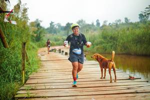 BIB: 
                            <button type="button" onclick="openModal(25183200)" class="btn btn-primary btn-sm float-right btn-popup" data-toggle="modal" data-target=".modal-high-quality">
                        <i class="fas fa-shopping-cart"></i> Add to Cart
                    </button>
                                            <button type="button" onclick="isThisMe(25183200, true)" class="btn btn-success btn-sm float-right btn-popup btn-isme hidden" data-toggle="tooltip" data-placement="bottom" title="นี่คือรูปของคุณใช่ไหม คลิกที่นี่เพื่อเอาเข้าอัลบั้ม">
                        <i class="fas fa-plus"></i> Add to album
                    </button>
                    <button type="button" onclick="isThisMe(25183200, false)" class="btn btn-warning btn-sm float-right btn-popup btn-isnotme hidden">
                        <i class="fas fa-ban"></i> Remove from album
                    </button>