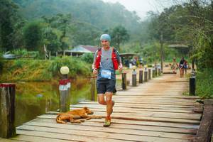 BIB: 
                            <button type="button" onclick="openModal(25159613)" class="btn btn-primary btn-sm float-right btn-popup" data-toggle="modal" data-target=".modal-high-quality">
                        <i class="fas fa-shopping-cart"></i> Add to Cart
                    </button>
                                            <button type="button" onclick="isThisMe(25159613, true)" class="btn btn-success btn-sm float-right btn-popup btn-isme hidden" data-toggle="tooltip" data-placement="bottom" title="นี่คือรูปของคุณใช่ไหม คลิกที่นี่เพื่อเอาเข้าอัลบั้ม">
                        <i class="fas fa-plus"></i> Add to album
                    </button>
                    <button type="button" onclick="isThisMe(25159613, false)" class="btn btn-warning btn-sm float-right btn-popup btn-isnotme hidden">
                        <i class="fas fa-ban"></i> Remove from album
                    </button>