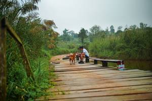 BIB: 
                            <button type="button" onclick="openModal(25107481)" class="btn btn-primary btn-sm float-right btn-popup" data-toggle="modal" data-target=".modal-high-quality">
                        <i class="fas fa-shopping-cart"></i> Add to Cart
                    </button>
                                            <button type="button" onclick="isThisMe(25107481, true)" class="btn btn-success btn-sm float-right btn-popup btn-isme hidden" data-toggle="tooltip" data-placement="bottom" title="นี่คือรูปของคุณใช่ไหม คลิกที่นี่เพื่อเอาเข้าอัลบั้ม">
                        <i class="fas fa-plus"></i> Add to album
                    </button>
                    <button type="button" onclick="isThisMe(25107481, false)" class="btn btn-warning btn-sm float-right btn-popup btn-isnotme hidden">
                        <i class="fas fa-ban"></i> Remove from album
                    </button>