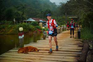 BIB: 
                            <button type="button" onclick="openModal(25158887)" class="btn btn-primary btn-sm float-right btn-popup" data-toggle="modal" data-target=".modal-high-quality">
                        <i class="fas fa-shopping-cart"></i> Add to Cart
                    </button>
                                            <button type="button" onclick="isThisMe(25158887, true)" class="btn btn-success btn-sm float-right btn-popup btn-isme hidden" data-toggle="tooltip" data-placement="bottom" title="นี่คือรูปของคุณใช่ไหม คลิกที่นี่เพื่อเอาเข้าอัลบั้ม">
                        <i class="fas fa-plus"></i> Add to album
                    </button>
                    <button type="button" onclick="isThisMe(25158887, false)" class="btn btn-warning btn-sm float-right btn-popup btn-isnotme hidden">
                        <i class="fas fa-ban"></i> Remove from album
                    </button>