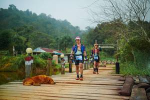 BIB: 
                            <button type="button" onclick="openModal(25158140)" class="btn btn-primary btn-sm float-right btn-popup" data-toggle="modal" data-target=".modal-high-quality">
                        <i class="fas fa-shopping-cart"></i> Add to Cart
                    </button>
                                            <button type="button" onclick="isThisMe(25158140, true)" class="btn btn-success btn-sm float-right btn-popup btn-isme hidden" data-toggle="tooltip" data-placement="bottom" title="นี่คือรูปของคุณใช่ไหม คลิกที่นี่เพื่อเอาเข้าอัลบั้ม">
                        <i class="fas fa-plus"></i> Add to album
                    </button>
                    <button type="button" onclick="isThisMe(25158140, false)" class="btn btn-warning btn-sm float-right btn-popup btn-isnotme hidden">
                        <i class="fas fa-ban"></i> Remove from album
                    </button>