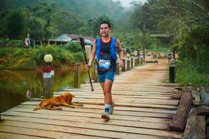 BIB: 
                            <button type="button" onclick="openModal(25159764)" class="btn btn-primary btn-sm float-right btn-popup" data-toggle="modal" data-target=".modal-high-quality">
                        <i class="fas fa-shopping-cart"></i> Add to Cart
                    </button>
                                            <button type="button" onclick="isThisMe(25159764, true)" class="btn btn-success btn-sm float-right btn-popup btn-isme hidden" data-toggle="tooltip" data-placement="bottom" title="นี่คือรูปของคุณใช่ไหม คลิกที่นี่เพื่อเอาเข้าอัลบั้ม">
                        <i class="fas fa-plus"></i> Add to album
                    </button>
                    <button type="button" onclick="isThisMe(25159764, false)" class="btn btn-warning btn-sm float-right btn-popup btn-isnotme hidden">
                        <i class="fas fa-ban"></i> Remove from album
                    </button>