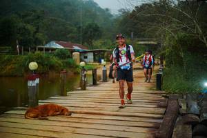 BIB: 
                            <button type="button" onclick="openModal(25158832)" class="btn btn-primary btn-sm float-right btn-popup" data-toggle="modal" data-target=".modal-high-quality">
                        <i class="fas fa-shopping-cart"></i> Add to Cart
                    </button>
                                            <button type="button" onclick="isThisMe(25158832, true)" class="btn btn-success btn-sm float-right btn-popup btn-isme hidden" data-toggle="tooltip" data-placement="bottom" title="นี่คือรูปของคุณใช่ไหม คลิกที่นี่เพื่อเอาเข้าอัลบั้ม">
                        <i class="fas fa-plus"></i> Add to album
                    </button>
                    <button type="button" onclick="isThisMe(25158832, false)" class="btn btn-warning btn-sm float-right btn-popup btn-isnotme hidden">
                        <i class="fas fa-ban"></i> Remove from album
                    </button>