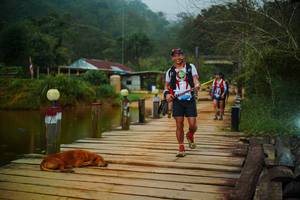 BIB: 
                            <button type="button" onclick="openModal(25158841)" class="btn btn-primary btn-sm float-right btn-popup" data-toggle="modal" data-target=".modal-high-quality">
                        <i class="fas fa-shopping-cart"></i> Add to Cart
                    </button>
                                            <button type="button" onclick="isThisMe(25158841, true)" class="btn btn-success btn-sm float-right btn-popup btn-isme hidden" data-toggle="tooltip" data-placement="bottom" title="นี่คือรูปของคุณใช่ไหม คลิกที่นี่เพื่อเอาเข้าอัลบั้ม">
                        <i class="fas fa-plus"></i> Add to album
                    </button>
                    <button type="button" onclick="isThisMe(25158841, false)" class="btn btn-warning btn-sm float-right btn-popup btn-isnotme hidden">
                        <i class="fas fa-ban"></i> Remove from album
                    </button>