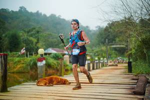 BIB: 
                            <button type="button" onclick="openModal(25157632)" class="btn btn-primary btn-sm float-right btn-popup" data-toggle="modal" data-target=".modal-high-quality">
                        <i class="fas fa-shopping-cart"></i> Add to Cart
                    </button>
                                            <button type="button" onclick="isThisMe(25157632, true)" class="btn btn-success btn-sm float-right btn-popup btn-isme hidden" data-toggle="tooltip" data-placement="bottom" title="นี่คือรูปของคุณใช่ไหม คลิกที่นี่เพื่อเอาเข้าอัลบั้ม">
                        <i class="fas fa-plus"></i> Add to album
                    </button>
                    <button type="button" onclick="isThisMe(25157632, false)" class="btn btn-warning btn-sm float-right btn-popup btn-isnotme hidden">
                        <i class="fas fa-ban"></i> Remove from album
                    </button>