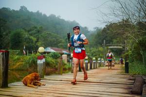 BIB: 
                            <button type="button" onclick="openModal(25111147)" class="btn btn-primary btn-sm float-right btn-popup" data-toggle="modal" data-target=".modal-high-quality">
                        <i class="fas fa-shopping-cart"></i> Add to Cart
                    </button>
                                            <button type="button" onclick="isThisMe(25111147, true)" class="btn btn-success btn-sm float-right btn-popup btn-isme hidden" data-toggle="tooltip" data-placement="bottom" title="นี่คือรูปของคุณใช่ไหม คลิกที่นี่เพื่อเอาเข้าอัลบั้ม">
                        <i class="fas fa-plus"></i> Add to album
                    </button>
                    <button type="button" onclick="isThisMe(25111147, false)" class="btn btn-warning btn-sm float-right btn-popup btn-isnotme hidden">
                        <i class="fas fa-ban"></i> Remove from album
                    </button>