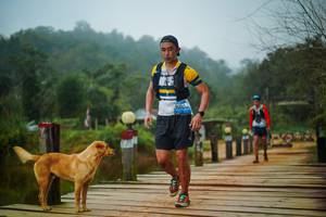 BIB: 
                            <button type="button" onclick="openModal(25109185)" class="btn btn-primary btn-sm float-right btn-popup" data-toggle="modal" data-target=".modal-high-quality">
                        <i class="fas fa-shopping-cart"></i> Add to Cart
                    </button>
                                            <button type="button" onclick="isThisMe(25109185, true)" class="btn btn-success btn-sm float-right btn-popup btn-isme hidden" data-toggle="tooltip" data-placement="bottom" title="นี่คือรูปของคุณใช่ไหม คลิกที่นี่เพื่อเอาเข้าอัลบั้ม">
                        <i class="fas fa-plus"></i> Add to album
                    </button>
                    <button type="button" onclick="isThisMe(25109185, false)" class="btn btn-warning btn-sm float-right btn-popup btn-isnotme hidden">
                        <i class="fas fa-ban"></i> Remove from album
                    </button>