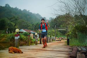 BIB: 
                            <button type="button" onclick="openModal(25115848)" class="btn btn-primary btn-sm float-right btn-popup" data-toggle="modal" data-target=".modal-high-quality">
                        <i class="fas fa-shopping-cart"></i> Add to Cart
                    </button>
                                            <button type="button" onclick="isThisMe(25115848, true)" class="btn btn-success btn-sm float-right btn-popup btn-isme hidden" data-toggle="tooltip" data-placement="bottom" title="นี่คือรูปของคุณใช่ไหม คลิกที่นี่เพื่อเอาเข้าอัลบั้ม">
                        <i class="fas fa-plus"></i> Add to album
                    </button>
                    <button type="button" onclick="isThisMe(25115848, false)" class="btn btn-warning btn-sm float-right btn-popup btn-isnotme hidden">
                        <i class="fas fa-ban"></i> Remove from album
                    </button>