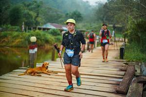 BIB: 
                            <button type="button" onclick="openModal(25159997)" class="btn btn-primary btn-sm float-right btn-popup" data-toggle="modal" data-target=".modal-high-quality">
                        <i class="fas fa-shopping-cart"></i> Add to Cart
                    </button>
                                            <button type="button" onclick="isThisMe(25159997, true)" class="btn btn-success btn-sm float-right btn-popup btn-isme hidden" data-toggle="tooltip" data-placement="bottom" title="นี่คือรูปของคุณใช่ไหม คลิกที่นี่เพื่อเอาเข้าอัลบั้ม">
                        <i class="fas fa-plus"></i> Add to album
                    </button>
                    <button type="button" onclick="isThisMe(25159997, false)" class="btn btn-warning btn-sm float-right btn-popup btn-isnotme hidden">
                        <i class="fas fa-ban"></i> Remove from album
                    </button>