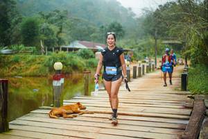 BIB: 
                            <button type="button" onclick="openModal(25159621)" class="btn btn-primary btn-sm float-right btn-popup" data-toggle="modal" data-target=".modal-high-quality">
                        <i class="fas fa-shopping-cart"></i> Add to Cart
                    </button>
                                            <button type="button" onclick="isThisMe(25159621, true)" class="btn btn-success btn-sm float-right btn-popup btn-isme hidden" data-toggle="tooltip" data-placement="bottom" title="นี่คือรูปของคุณใช่ไหม คลิกที่นี่เพื่อเอาเข้าอัลบั้ม">
                        <i class="fas fa-plus"></i> Add to album
                    </button>
                    <button type="button" onclick="isThisMe(25159621, false)" class="btn btn-warning btn-sm float-right btn-popup btn-isnotme hidden">
                        <i class="fas fa-ban"></i> Remove from album
                    </button>