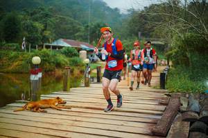 BIB: 
                            <button type="button" onclick="openModal(25160789)" class="btn btn-primary btn-sm float-right btn-popup" data-toggle="modal" data-target=".modal-high-quality">
                        <i class="fas fa-shopping-cart"></i> Add to Cart
                    </button>
                                            <button type="button" onclick="isThisMe(25160789, true)" class="btn btn-success btn-sm float-right btn-popup btn-isme hidden" data-toggle="tooltip" data-placement="bottom" title="นี่คือรูปของคุณใช่ไหม คลิกที่นี่เพื่อเอาเข้าอัลบั้ม">
                        <i class="fas fa-plus"></i> Add to album
                    </button>
                    <button type="button" onclick="isThisMe(25160789, false)" class="btn btn-warning btn-sm float-right btn-popup btn-isnotme hidden">
                        <i class="fas fa-ban"></i> Remove from album
                    </button>