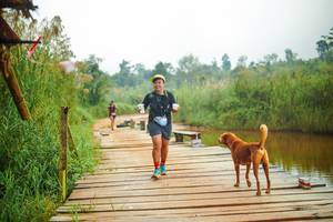 BIB: 
                            <button type="button" onclick="openModal(25183164)" class="btn btn-primary btn-sm float-right btn-popup" data-toggle="modal" data-target=".modal-high-quality">
                        <i class="fas fa-shopping-cart"></i> Add to Cart
                    </button>
                                            <button type="button" onclick="isThisMe(25183164, true)" class="btn btn-success btn-sm float-right btn-popup btn-isme hidden" data-toggle="tooltip" data-placement="bottom" title="นี่คือรูปของคุณใช่ไหม คลิกที่นี่เพื่อเอาเข้าอัลบั้ม">
                        <i class="fas fa-plus"></i> Add to album
                    </button>
                    <button type="button" onclick="isThisMe(25183164, false)" class="btn btn-warning btn-sm float-right btn-popup btn-isnotme hidden">
                        <i class="fas fa-ban"></i> Remove from album
                    </button>