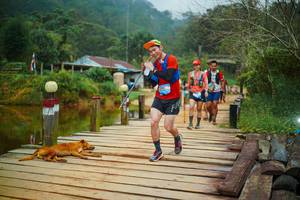 BIB: 
                            <button type="button" onclick="openModal(25160772)" class="btn btn-primary btn-sm float-right btn-popup" data-toggle="modal" data-target=".modal-high-quality">
                        <i class="fas fa-shopping-cart"></i> Add to Cart
                    </button>
                                            <button type="button" onclick="isThisMe(25160772, true)" class="btn btn-success btn-sm float-right btn-popup btn-isme hidden" data-toggle="tooltip" data-placement="bottom" title="นี่คือรูปของคุณใช่ไหม คลิกที่นี่เพื่อเอาเข้าอัลบั้ม">
                        <i class="fas fa-plus"></i> Add to album
                    </button>
                    <button type="button" onclick="isThisMe(25160772, false)" class="btn btn-warning btn-sm float-right btn-popup btn-isnotme hidden">
                        <i class="fas fa-ban"></i> Remove from album
                    </button>