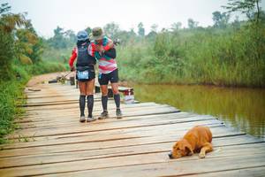 BIB: 
                            <button type="button" onclick="openModal(25129455)" class="btn btn-primary btn-sm float-right btn-popup" data-toggle="modal" data-target=".modal-high-quality">
                        <i class="fas fa-shopping-cart"></i> Add to Cart
                    </button>
                                            <button type="button" onclick="isThisMe(25129455, true)" class="btn btn-success btn-sm float-right btn-popup btn-isme hidden" data-toggle="tooltip" data-placement="bottom" title="นี่คือรูปของคุณใช่ไหม คลิกที่นี่เพื่อเอาเข้าอัลบั้ม">
                        <i class="fas fa-plus"></i> Add to album
                    </button>
                    <button type="button" onclick="isThisMe(25129455, false)" class="btn btn-warning btn-sm float-right btn-popup btn-isnotme hidden">
                        <i class="fas fa-ban"></i> Remove from album
                    </button>