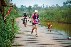 BIB: 
                            <button type="button" onclick="openModal(25171336)" class="btn btn-primary btn-sm float-right btn-popup" data-toggle="modal" data-target=".modal-high-quality">
                        <i class="fas fa-shopping-cart"></i> Add to Cart
                    </button>
                                            <button type="button" onclick="isThisMe(25171336, true)" class="btn btn-success btn-sm float-right btn-popup btn-isme hidden" data-toggle="tooltip" data-placement="bottom" title="นี่คือรูปของคุณใช่ไหม คลิกที่นี่เพื่อเอาเข้าอัลบั้ม">
                        <i class="fas fa-plus"></i> Add to album
                    </button>
                    <button type="button" onclick="isThisMe(25171336, false)" class="btn btn-warning btn-sm float-right btn-popup btn-isnotme hidden">
                        <i class="fas fa-ban"></i> Remove from album
                    </button>