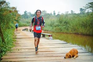 BIB: 
                            <button type="button" onclick="openModal(25127085)" class="btn btn-primary btn-sm float-right btn-popup" data-toggle="modal" data-target=".modal-high-quality">
                        <i class="fas fa-shopping-cart"></i> Add to Cart
                    </button>
                                            <button type="button" onclick="isThisMe(25127085, true)" class="btn btn-success btn-sm float-right btn-popup btn-isme hidden" data-toggle="tooltip" data-placement="bottom" title="นี่คือรูปของคุณใช่ไหม คลิกที่นี่เพื่อเอาเข้าอัลบั้ม">
                        <i class="fas fa-plus"></i> Add to album
                    </button>
                    <button type="button" onclick="isThisMe(25127085, false)" class="btn btn-warning btn-sm float-right btn-popup btn-isnotme hidden">
                        <i class="fas fa-ban"></i> Remove from album
                    </button>