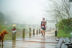 BIB: 
                            <button type="button" onclick="openModal(25163853)" class="btn btn-primary btn-sm float-right btn-popup" data-toggle="modal" data-target=".modal-high-quality">
                        <i class="fas fa-shopping-cart"></i> Add to Cart
                    </button>
                                            <button type="button" onclick="isThisMe(25163853, true)" class="btn btn-success btn-sm float-right btn-popup btn-isme hidden" data-toggle="tooltip" data-placement="bottom" title="นี่คือรูปของคุณใช่ไหม คลิกที่นี่เพื่อเอาเข้าอัลบั้ม">
                        <i class="fas fa-plus"></i> Add to album
                    </button>
                    <button type="button" onclick="isThisMe(25163853, false)" class="btn btn-warning btn-sm float-right btn-popup btn-isnotme hidden">
                        <i class="fas fa-ban"></i> Remove from album
                    </button>