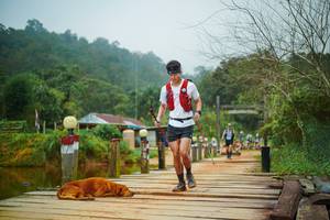 BIB: 
                            <button type="button" onclick="openModal(25157944)" class="btn btn-primary btn-sm float-right btn-popup" data-toggle="modal" data-target=".modal-high-quality">
                        <i class="fas fa-shopping-cart"></i> Add to Cart
                    </button>
                                            <button type="button" onclick="isThisMe(25157944, true)" class="btn btn-success btn-sm float-right btn-popup btn-isme hidden" data-toggle="tooltip" data-placement="bottom" title="นี่คือรูปของคุณใช่ไหม คลิกที่นี่เพื่อเอาเข้าอัลบั้ม">
                        <i class="fas fa-plus"></i> Add to album
                    </button>
                    <button type="button" onclick="isThisMe(25157944, false)" class="btn btn-warning btn-sm float-right btn-popup btn-isnotme hidden">
                        <i class="fas fa-ban"></i> Remove from album
                    </button>