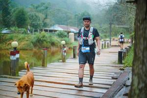 BIB: 
                            <button type="button" onclick="openModal(25172274)" class="btn btn-primary btn-sm float-right btn-popup" data-toggle="modal" data-target=".modal-high-quality">
                        <i class="fas fa-shopping-cart"></i> Add to Cart
                    </button>
                                            <button type="button" onclick="isThisMe(25172274, true)" class="btn btn-success btn-sm float-right btn-popup btn-isme hidden" data-toggle="tooltip" data-placement="bottom" title="นี่คือรูปของคุณใช่ไหม คลิกที่นี่เพื่อเอาเข้าอัลบั้ม">
                        <i class="fas fa-plus"></i> Add to album
                    </button>
                    <button type="button" onclick="isThisMe(25172274, false)" class="btn btn-warning btn-sm float-right btn-popup btn-isnotme hidden">
                        <i class="fas fa-ban"></i> Remove from album
                    </button>