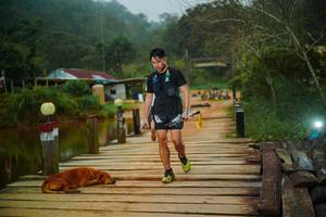 BIB: 
                            <button type="button" onclick="openModal(25158985)" class="btn btn-primary btn-sm float-right btn-popup" data-toggle="modal" data-target=".modal-high-quality">
                        <i class="fas fa-shopping-cart"></i> Add to Cart
                    </button>
                                            <button type="button" onclick="isThisMe(25158985, true)" class="btn btn-success btn-sm float-right btn-popup btn-isme hidden" data-toggle="tooltip" data-placement="bottom" title="นี่คือรูปของคุณใช่ไหม คลิกที่นี่เพื่อเอาเข้าอัลบั้ม">
                        <i class="fas fa-plus"></i> Add to album
                    </button>
                    <button type="button" onclick="isThisMe(25158985, false)" class="btn btn-warning btn-sm float-right btn-popup btn-isnotme hidden">
                        <i class="fas fa-ban"></i> Remove from album
                    </button>