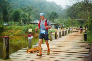 BIB: 
                            <button type="button" onclick="openModal(25159618)" class="btn btn-primary btn-sm float-right btn-popup" data-toggle="modal" data-target=".modal-high-quality">
                        <i class="fas fa-shopping-cart"></i> Add to Cart
                    </button>
                                            <button type="button" onclick="isThisMe(25159618, true)" class="btn btn-success btn-sm float-right btn-popup btn-isme hidden" data-toggle="tooltip" data-placement="bottom" title="นี่คือรูปของคุณใช่ไหม คลิกที่นี่เพื่อเอาเข้าอัลบั้ม">
                        <i class="fas fa-plus"></i> Add to album
                    </button>
                    <button type="button" onclick="isThisMe(25159618, false)" class="btn btn-warning btn-sm float-right btn-popup btn-isnotme hidden">
                        <i class="fas fa-ban"></i> Remove from album
                    </button>