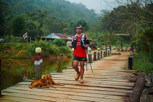 BIB: 
                            <button type="button" onclick="openModal(25159727)" class="btn btn-primary btn-sm float-right btn-popup" data-toggle="modal" data-target=".modal-high-quality">
                        <i class="fas fa-shopping-cart"></i> Add to Cart
                    </button>
                                            <button type="button" onclick="isThisMe(25159727, true)" class="btn btn-success btn-sm float-right btn-popup btn-isme hidden" data-toggle="tooltip" data-placement="bottom" title="นี่คือรูปของคุณใช่ไหม คลิกที่นี่เพื่อเอาเข้าอัลบั้ม">
                        <i class="fas fa-plus"></i> Add to album
                    </button>
                    <button type="button" onclick="isThisMe(25159727, false)" class="btn btn-warning btn-sm float-right btn-popup btn-isnotme hidden">
                        <i class="fas fa-ban"></i> Remove from album
                    </button>