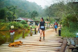 BIB: 
                            <button type="button" onclick="openModal(25159620)" class="btn btn-primary btn-sm float-right btn-popup" data-toggle="modal" data-target=".modal-high-quality">
                        <i class="fas fa-shopping-cart"></i> Add to Cart
                    </button>
                                            <button type="button" onclick="isThisMe(25159620, true)" class="btn btn-success btn-sm float-right btn-popup btn-isme hidden" data-toggle="tooltip" data-placement="bottom" title="นี่คือรูปของคุณใช่ไหม คลิกที่นี่เพื่อเอาเข้าอัลบั้ม">
                        <i class="fas fa-plus"></i> Add to album
                    </button>
                    <button type="button" onclick="isThisMe(25159620, false)" class="btn btn-warning btn-sm float-right btn-popup btn-isnotme hidden">
                        <i class="fas fa-ban"></i> Remove from album
                    </button>