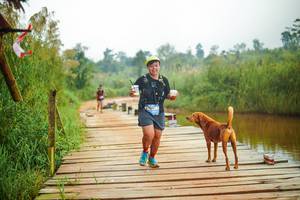 BIB: 
                            <button type="button" onclick="openModal(25183179)" class="btn btn-primary btn-sm float-right btn-popup" data-toggle="modal" data-target=".modal-high-quality">
                        <i class="fas fa-shopping-cart"></i> Add to Cart
                    </button>
                                            <button type="button" onclick="isThisMe(25183179, true)" class="btn btn-success btn-sm float-right btn-popup btn-isme hidden" data-toggle="tooltip" data-placement="bottom" title="นี่คือรูปของคุณใช่ไหม คลิกที่นี่เพื่อเอาเข้าอัลบั้ม">
                        <i class="fas fa-plus"></i> Add to album
                    </button>
                    <button type="button" onclick="isThisMe(25183179, false)" class="btn btn-warning btn-sm float-right btn-popup btn-isnotme hidden">
                        <i class="fas fa-ban"></i> Remove from album
                    </button>