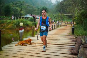 BIB: 
                            <button type="button" onclick="openModal(25159769)" class="btn btn-primary btn-sm float-right btn-popup" data-toggle="modal" data-target=".modal-high-quality">
                        <i class="fas fa-shopping-cart"></i> Add to Cart
                    </button>
                                            <button type="button" onclick="isThisMe(25159769, true)" class="btn btn-success btn-sm float-right btn-popup btn-isme hidden" data-toggle="tooltip" data-placement="bottom" title="นี่คือรูปของคุณใช่ไหม คลิกที่นี่เพื่อเอาเข้าอัลบั้ม">
                        <i class="fas fa-plus"></i> Add to album
                    </button>
                    <button type="button" onclick="isThisMe(25159769, false)" class="btn btn-warning btn-sm float-right btn-popup btn-isnotme hidden">
                        <i class="fas fa-ban"></i> Remove from album
                    </button>