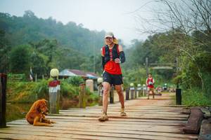 BIB: 
                            <button type="button" onclick="openModal(25122182)" class="btn btn-primary btn-sm float-right btn-popup" data-toggle="modal" data-target=".modal-high-quality">
                        <i class="fas fa-shopping-cart"></i> Add to Cart
                    </button>
                                            <button type="button" onclick="isThisMe(25122182, true)" class="btn btn-success btn-sm float-right btn-popup btn-isme hidden" data-toggle="tooltip" data-placement="bottom" title="นี่คือรูปของคุณใช่ไหม คลิกที่นี่เพื่อเอาเข้าอัลบั้ม">
                        <i class="fas fa-plus"></i> Add to album
                    </button>
                    <button type="button" onclick="isThisMe(25122182, false)" class="btn btn-warning btn-sm float-right btn-popup btn-isnotme hidden">
                        <i class="fas fa-ban"></i> Remove from album
                    </button>