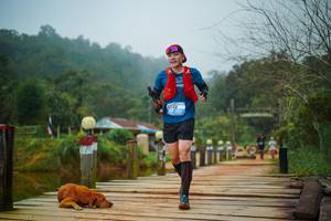 BIB: 
                            <button type="button" onclick="openModal(25117178)" class="btn btn-primary btn-sm float-right btn-popup" data-toggle="modal" data-target=".modal-high-quality">
                        <i class="fas fa-shopping-cart"></i> Add to Cart
                    </button>
                                            <button type="button" onclick="isThisMe(25117178, true)" class="btn btn-success btn-sm float-right btn-popup btn-isme hidden" data-toggle="tooltip" data-placement="bottom" title="นี่คือรูปของคุณใช่ไหม คลิกที่นี่เพื่อเอาเข้าอัลบั้ม">
                        <i class="fas fa-plus"></i> Add to album
                    </button>
                    <button type="button" onclick="isThisMe(25117178, false)" class="btn btn-warning btn-sm float-right btn-popup btn-isnotme hidden">
                        <i class="fas fa-ban"></i> Remove from album
                    </button>